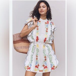 Farm Rio x Anthropologie Small NWT Embroidered Mini  Dress 248$